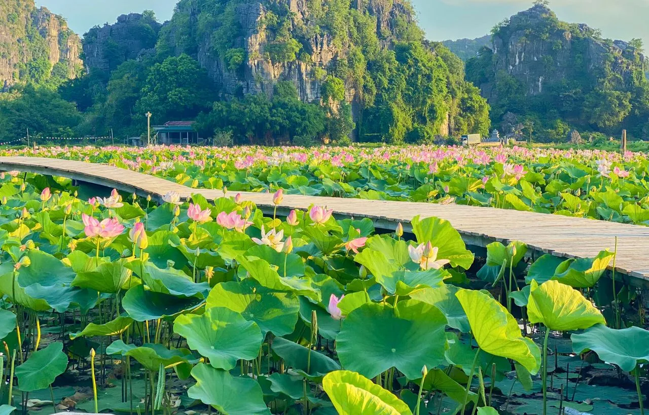 Vietnam at Glance