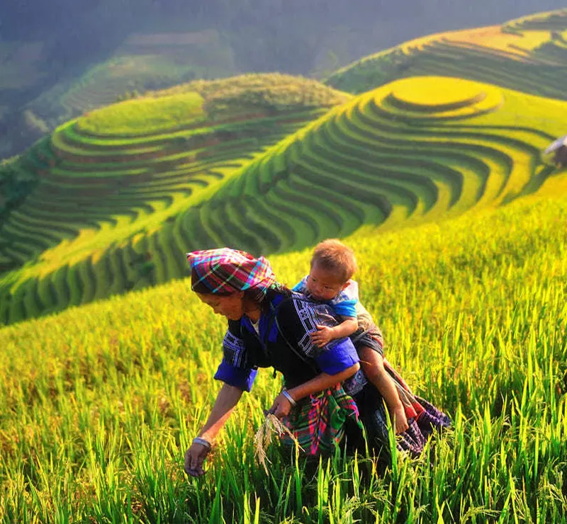 Vietnam Tours