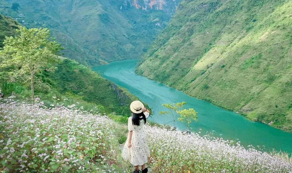 1-month-vietnam-itinerary-days-5-8-ha-giang-loop-or-sapa-northern-highlands 1-month-vietnam-itinerary-days-5-8-ha-giang-loop-or-sapa-northern-highlands