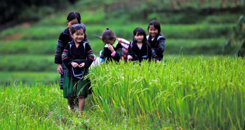 11-days-in-vietnam-itinerary-a-cultural-local-life-focused 11-days-in-vietnam-itinerary-a-cultural-local-life-focused