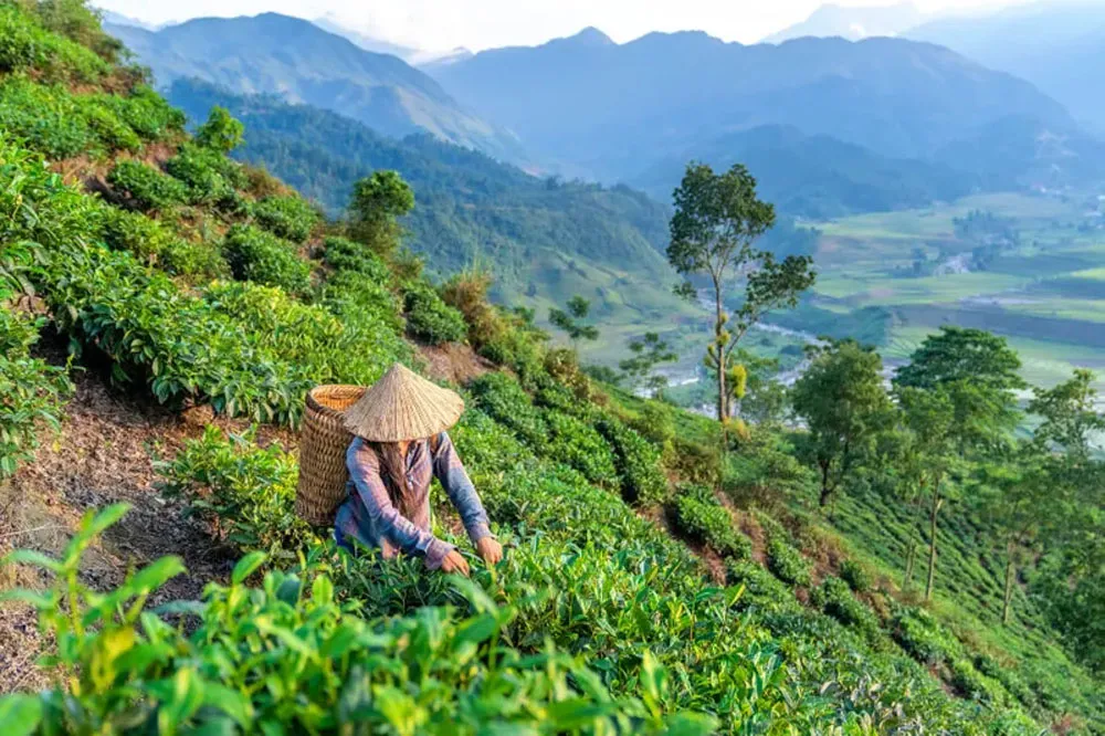 18 days in Vietnam itinerary – A complete North-to-South adventure
