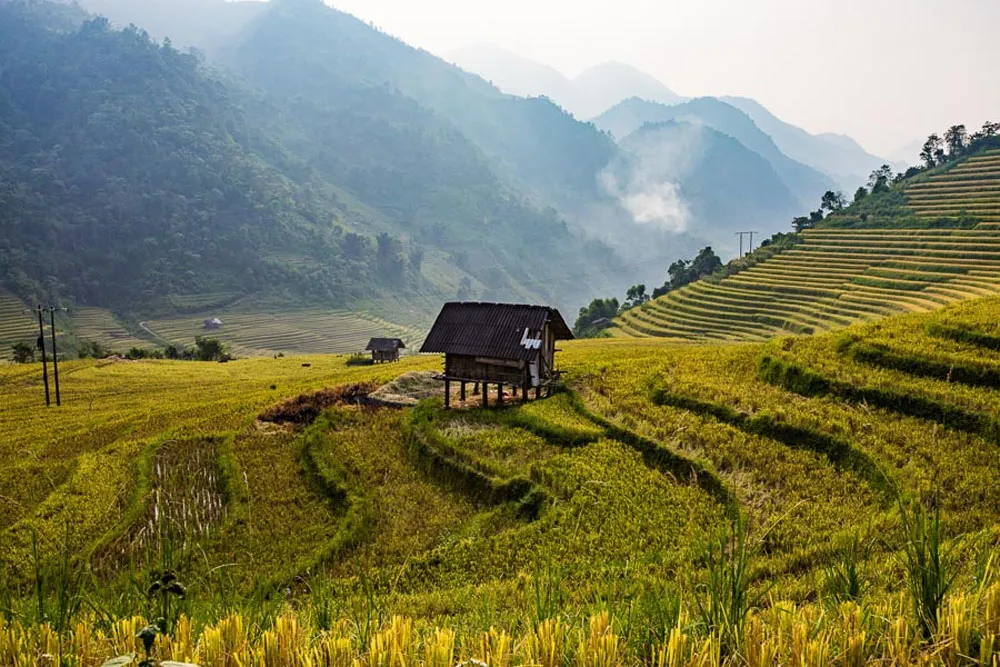 20-days-in-vietnam-itinerary-days-4-6-sapa-trekking-and-ethnic-culture