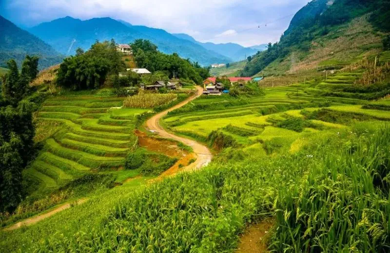 Top 15 Best Places to Visit Vietnam in August – Beaches, Highlands & Culture