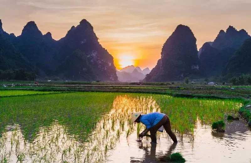 Best Places to Visit in Vietnam in July – Where to Go for Cool Breezes, Blue Skies, and Tropical Charm
