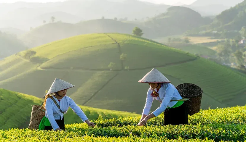 best-places-to-visit-in-vietnam-in-july best-places-to-visit-in-vietnam-in-july