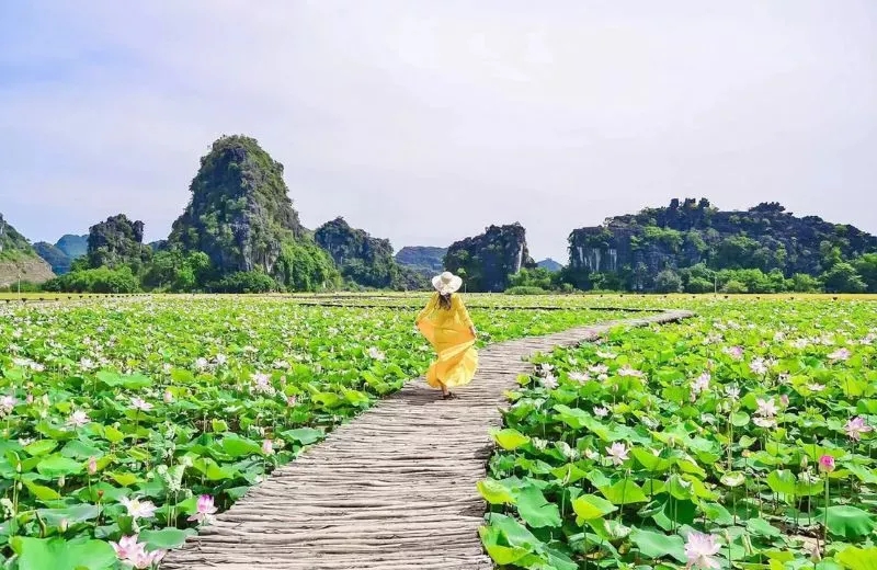 Best Places to Visit in Vietnam in June: Your Mid-Summer Travel Guide