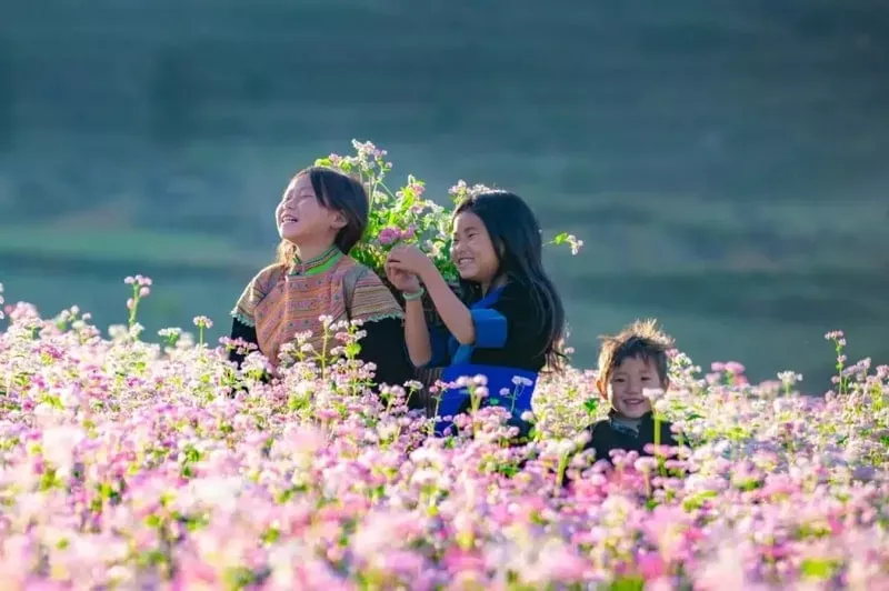 best-places-to-visit-vietnam-in-february