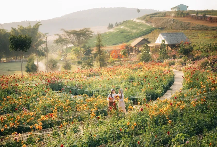 best-time-to-visit-in-vietnam-in-april-da-lat best-time-to-visit-in-vietnam-in-april-da-lat