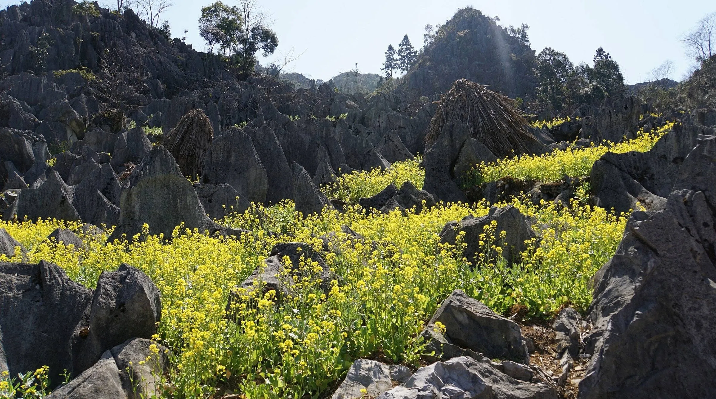 best-time-to-visit-in-vietnam-in-april-ha-giang best-time-to-visit-in-vietnam-in-april-ha-giang