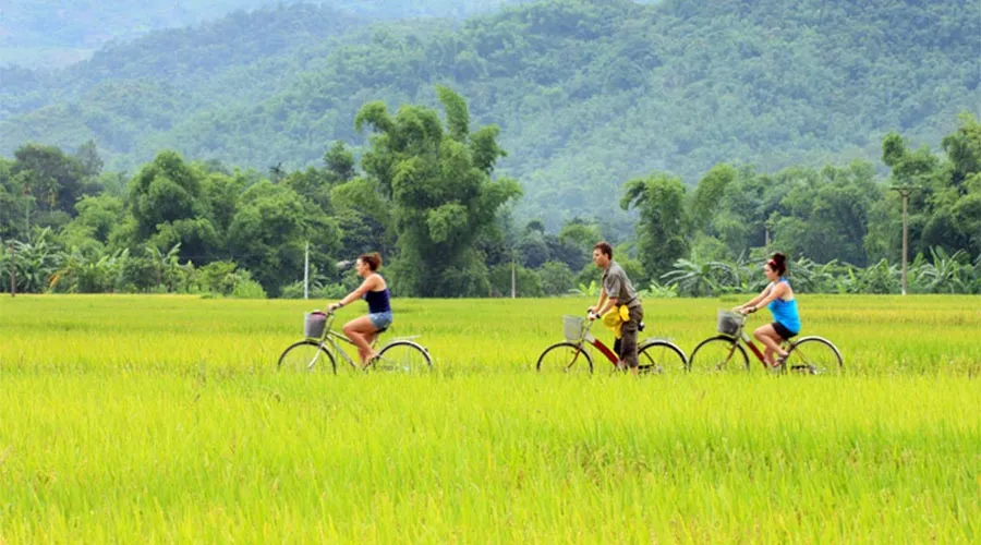 biking-in-the-middle-of-a-field-in-mai-chau biking-in-the-middle-of-a-field-in-mai-chau