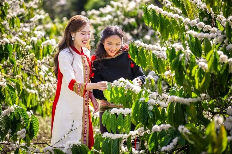 buon-ma-thuot-coffee-capital-in-bloom