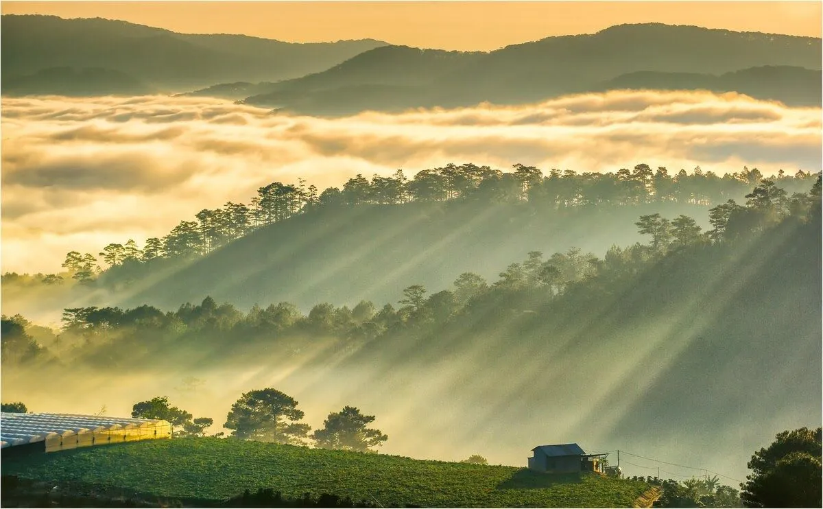 da-lat-best-places-to-visit-in-vietnam-in-august da-lat-best-places-to-visit-in-vietnam-in-august