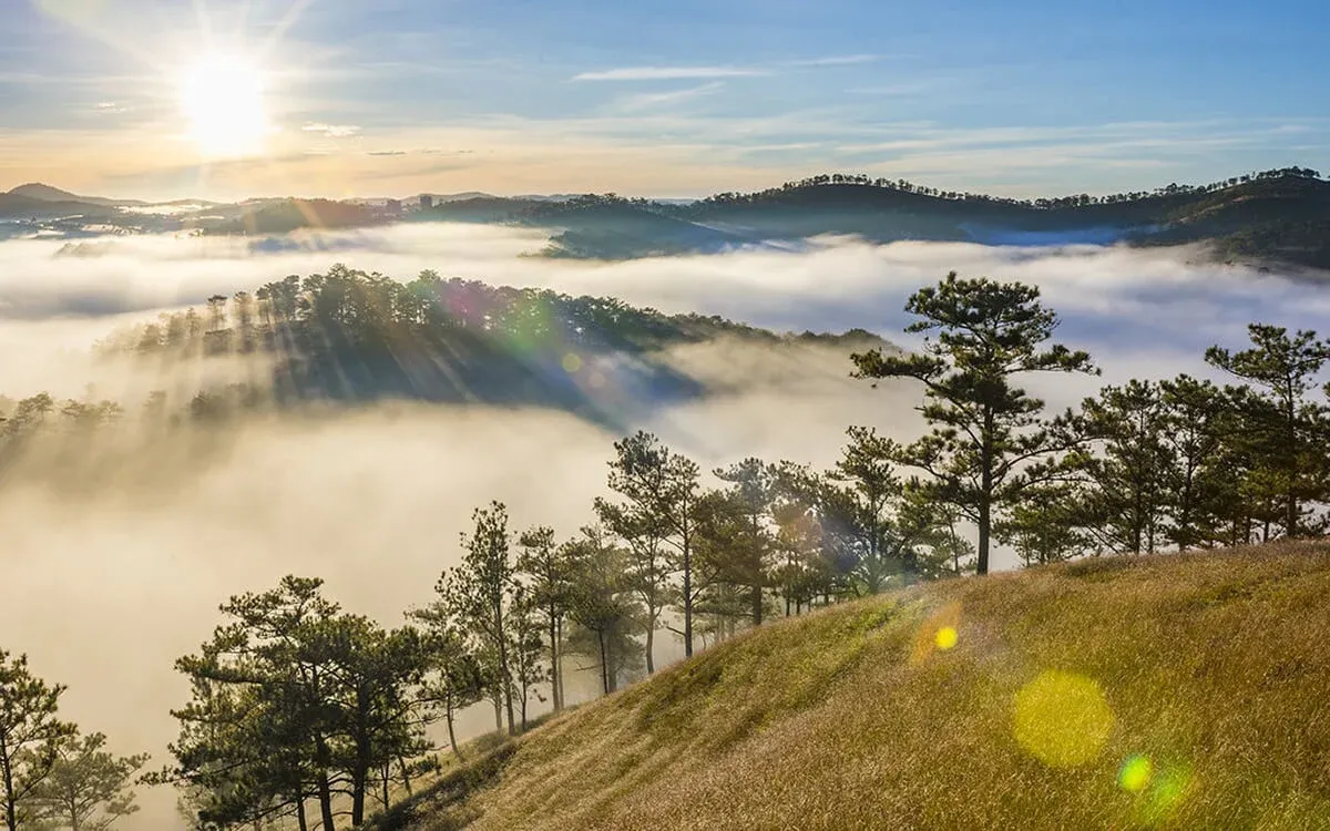 da-lat-flowers-pines-and-cool-breezes da-lat-flowers-pines-and-cool-breezes