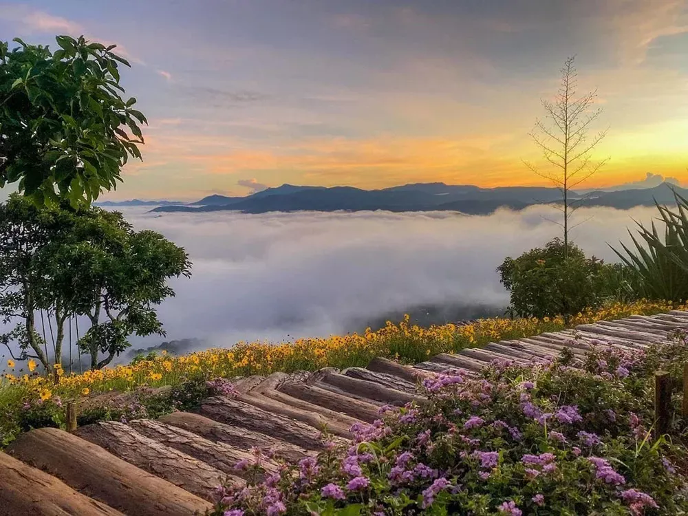 dalat-best-places-to-visit-vietnam-in-november dalat-best-places-to-visit-vietnam-in-november