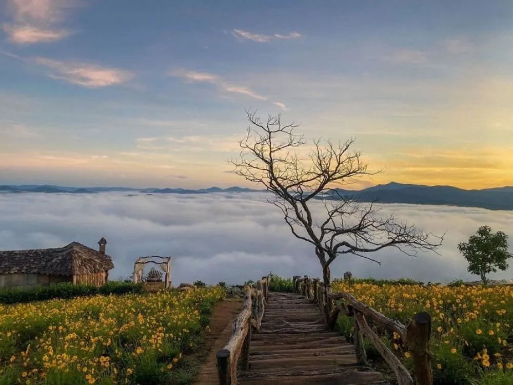 dalat-flowers-forests-and-mountain-cool dalat-flowers-forests-and-mountain-cool