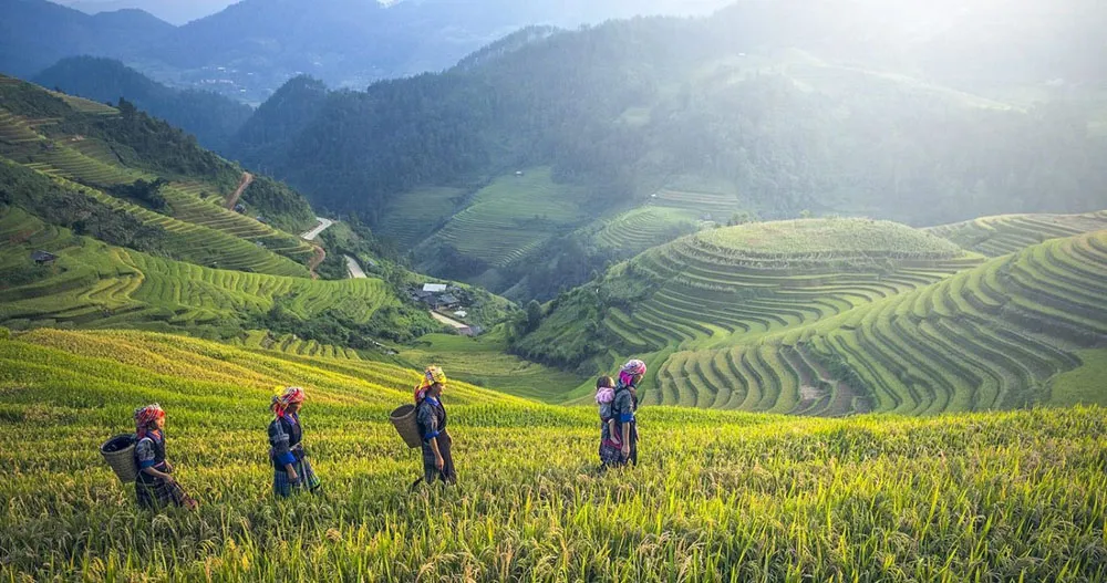 days-3-5-sapa-mountain-landscapes-and-ethnic-culture days-3-5-sapa-mountain-landscapes-and-ethnic-culture