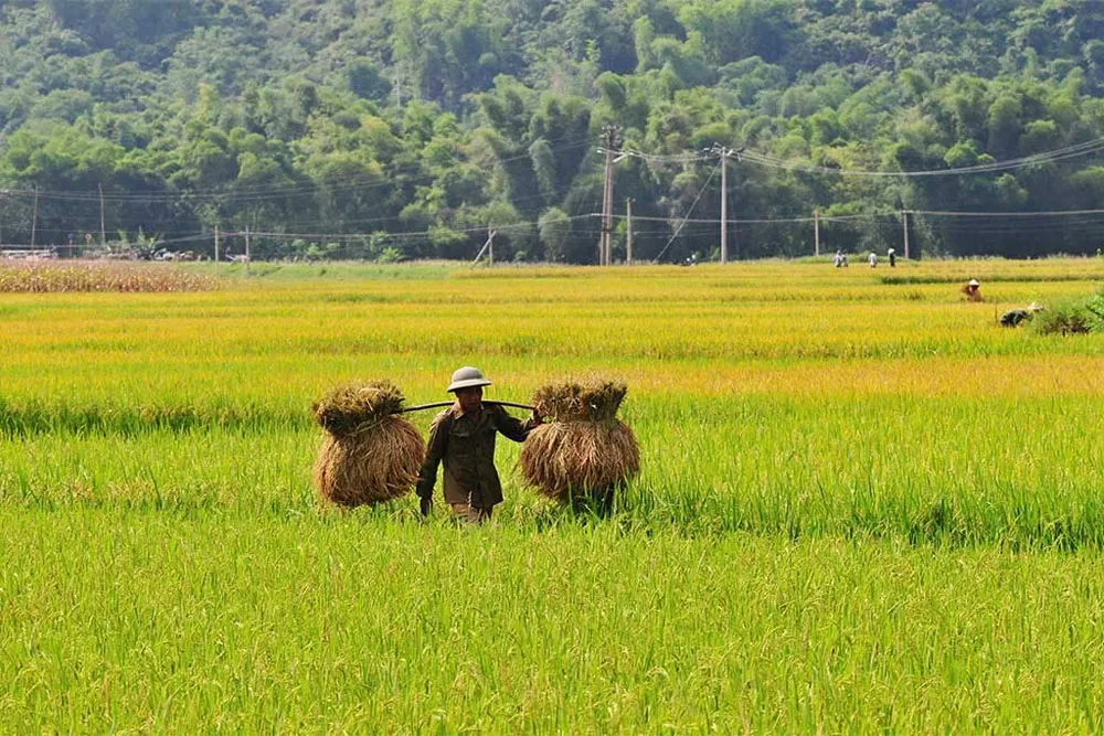 mai-chau-best-places-to-visit-in-vietnam-in-september mai-chau-best-places-to-visit-in-vietnam-in-september