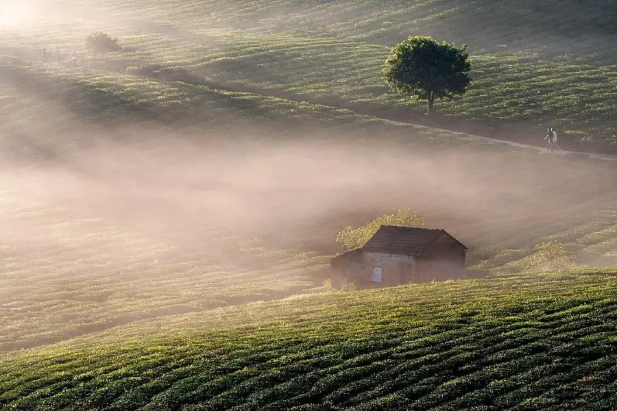 mai-chau-valley-escape-with-cultural-warmth mai-chau-valley-escape-with-cultural-warmth