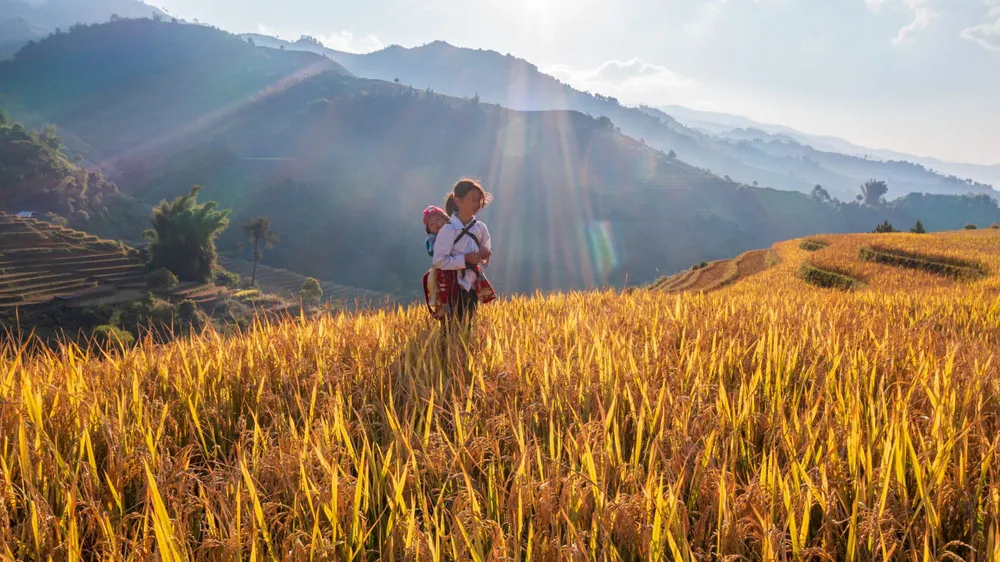 mu-cang-chai-best-places-to-visit-vietnam-in-october mu-cang-chai-best-places-to-visit-vietnam-in-october