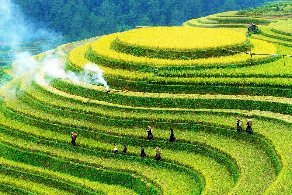 mu-cang-chai-yen-bai-early-season-terraces-and-quiet-trails mu-cang-chai-yen-bai-early-season-terraces-and-quiet-trails