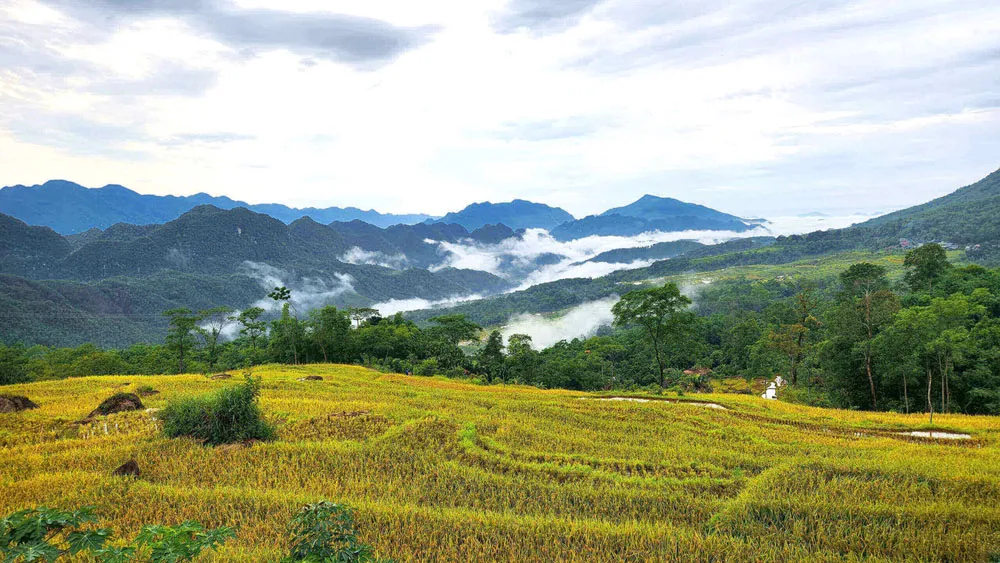 pu-luong-best-places-to-visit-in-vietnam-in-september pu-luong-best-places-to-visit-in-vietnam-in-september