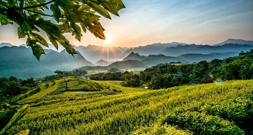 pu-luong-nature-reserve