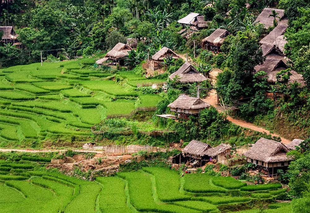 pu-luong-thanh-hoa-quiet-trails-and-nature-lodges pu-luong-thanh-hoa-quiet-trails-and-nature-lodges