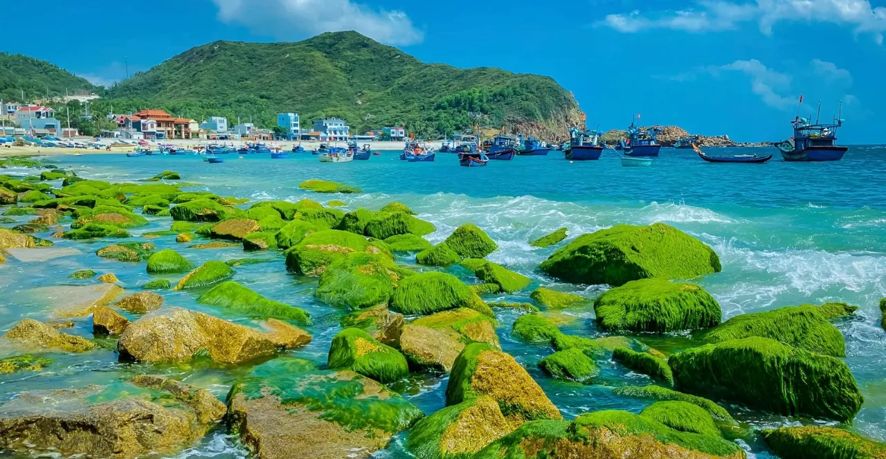 quy-nhon-underrated-coastal-gem