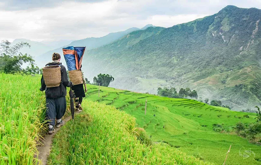 sapa-cool-mountain-escape sapa-cool-mountain-escape