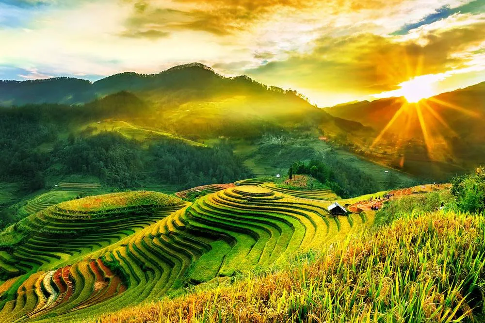 sapa-terraced-rice-fields sapa-terraced-rice-fields