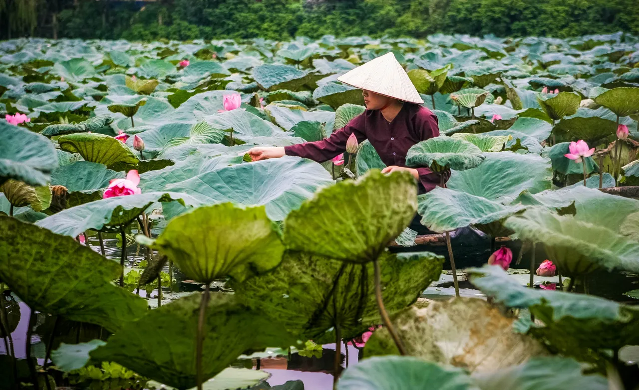 top-15-things-to-do-in-vietnam-a-bucket-list-for-every-traveler top-15-things-to-do-in-vietnam-a-bucket-list-for-every-traveler