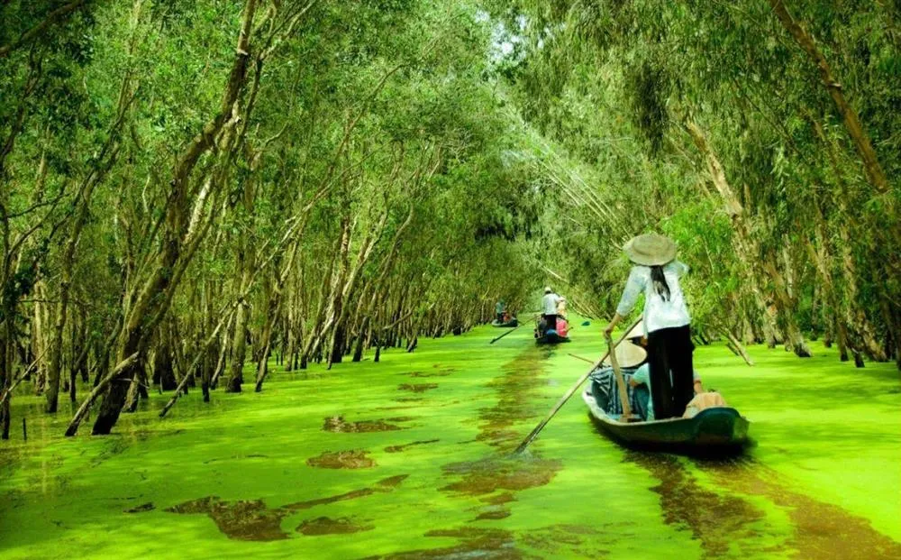 tra-su-forest-in-chau-doc tra-su-forest-in-chau-doc