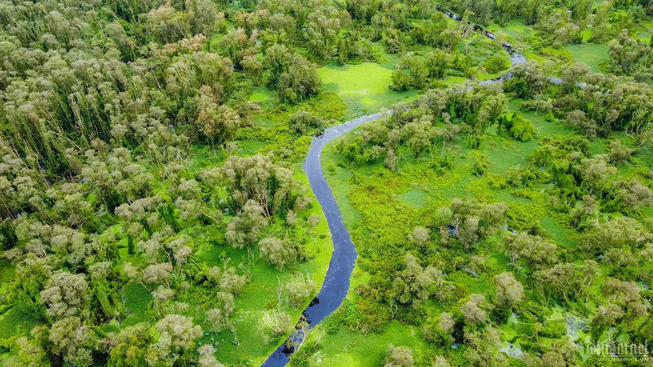 tram-su-forest-an-giang-boat-rides