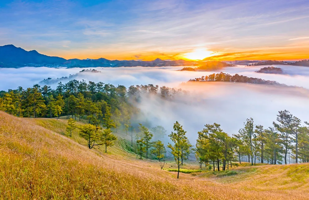 vietnam-best-city-to-visit-da-lat