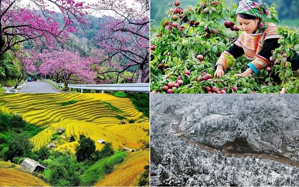 vietnam-s-diverse-climate-why-timing-matters vietnam-s-diverse-climate-why-timing-matters