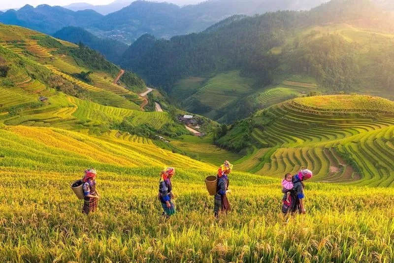 vietnam-travel-guide-where-to-go-in-northern-vietnam