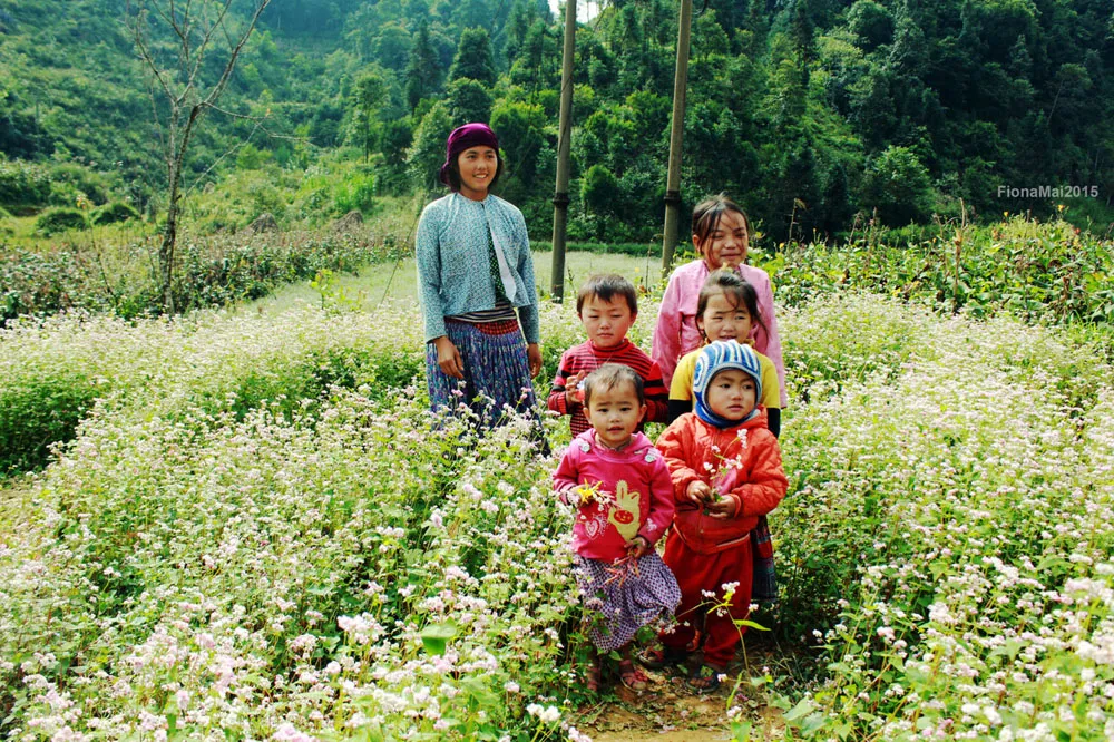 vietnam-weather-in-november vietnam-weather-in-november