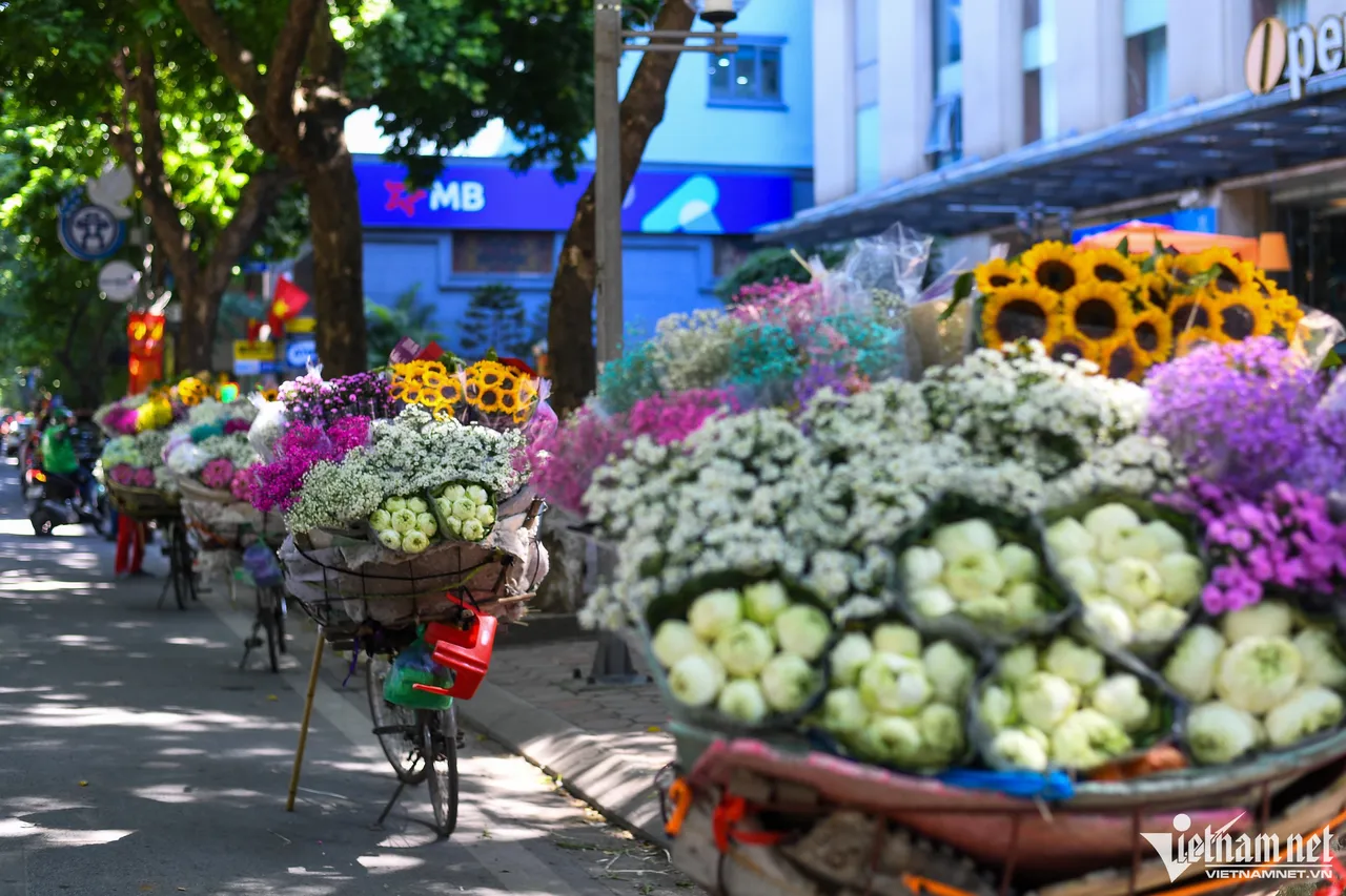 why-travel-to-vietnam-in-june why-travel-to-vietnam-in-june