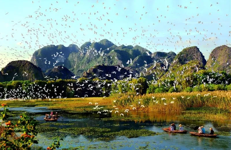 15 compelling reasons why travel to Vietnam is a must
