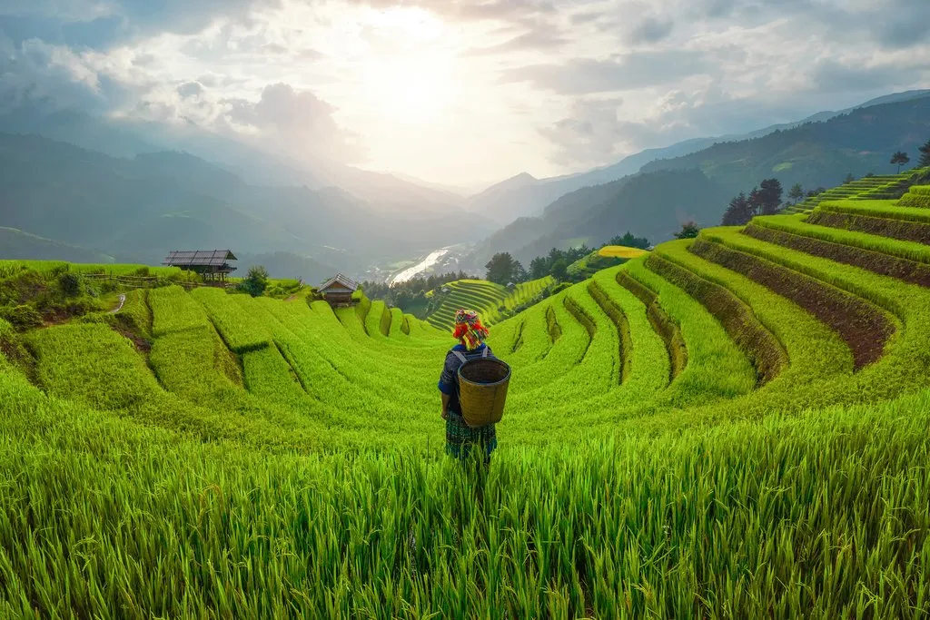 why-travel-vietnam-in-July why-travel-vietnam-in-July