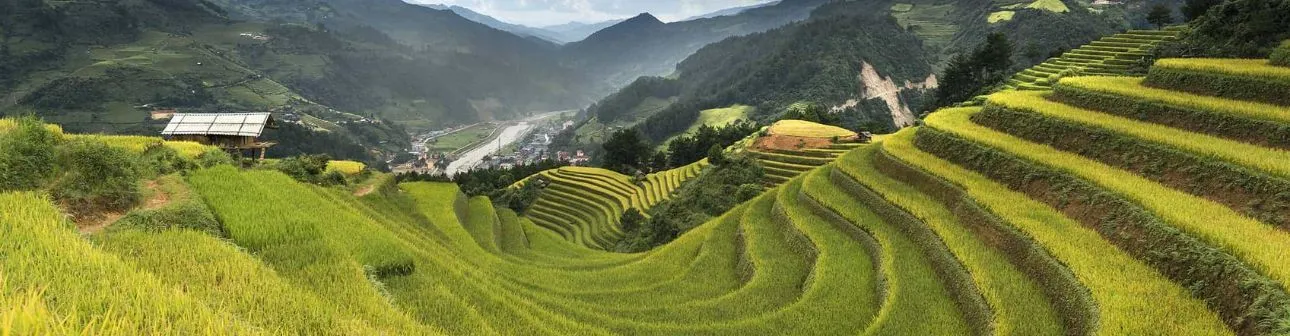 Top 20 Vietnam Travel Tips: Essential Advice for a Smooth and Memorable Journey
