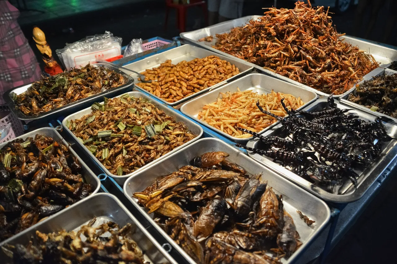 fried-insects