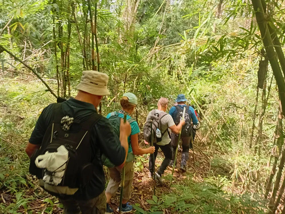 go-trekking-in-mondulkiri go-trekking-in-mondulkiri