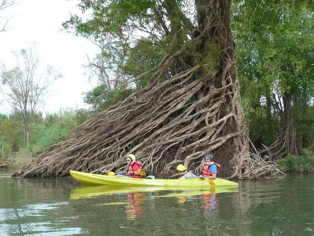 kayak-through-the-flooded-forests-of-stung-treng