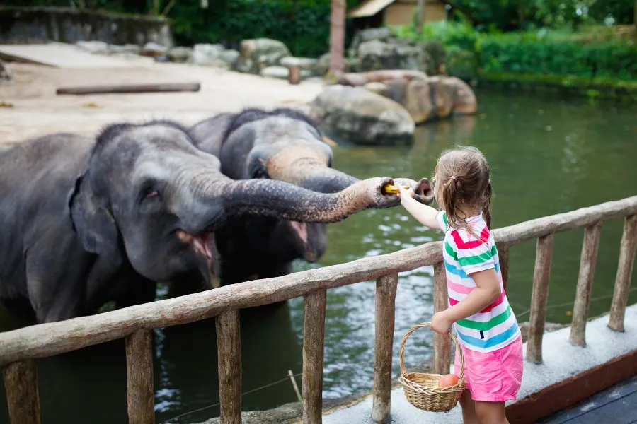 Travel-laos-with-kids