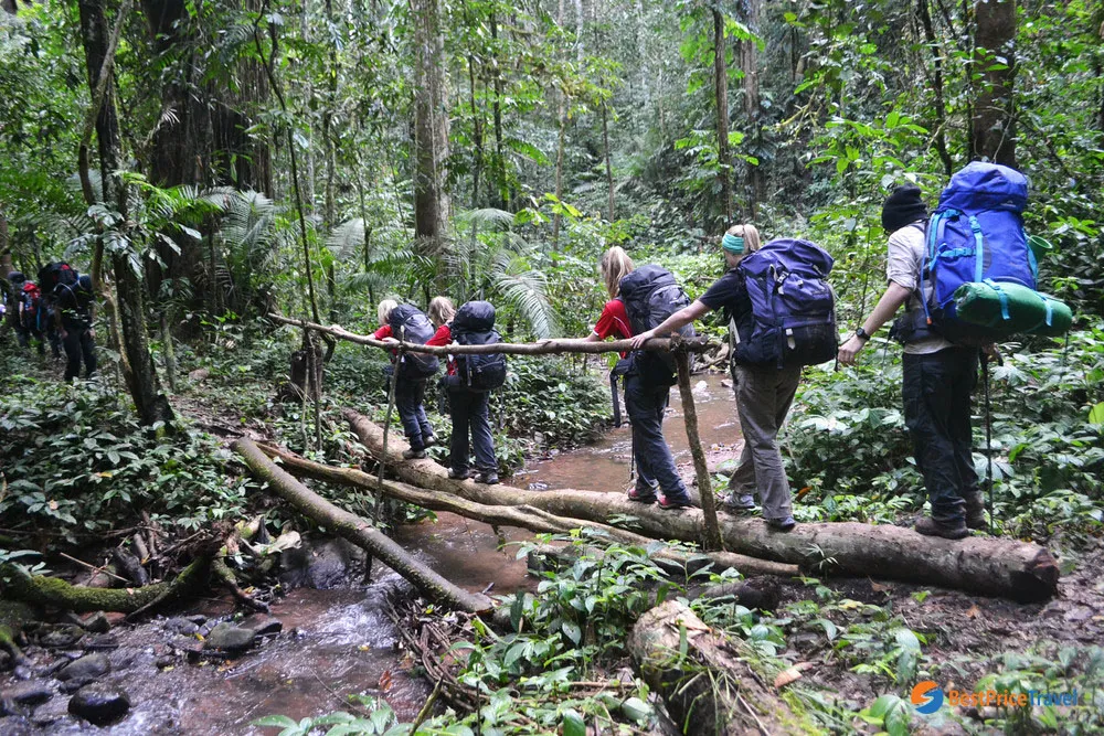 hike-through-the-jungles-of-northern-laos hike-through-the-jungles-of-northern-laos