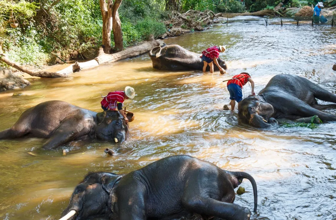 laos-with-kids