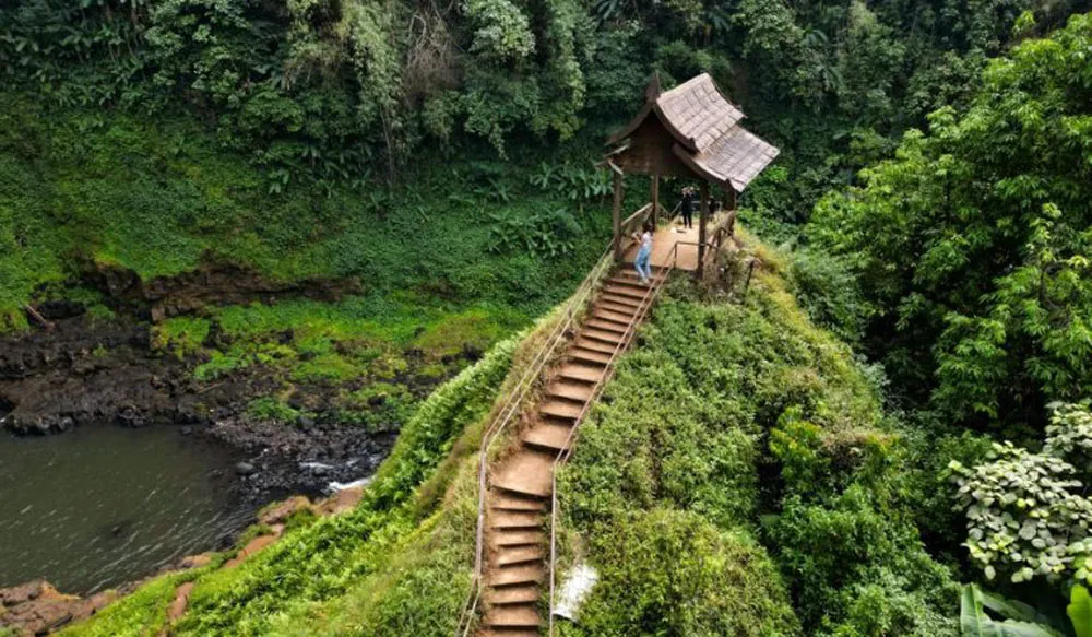 sip-lao-coffee-in-the-bolaven-plateau sip-lao-coffee-in-the-bolaven-plateau