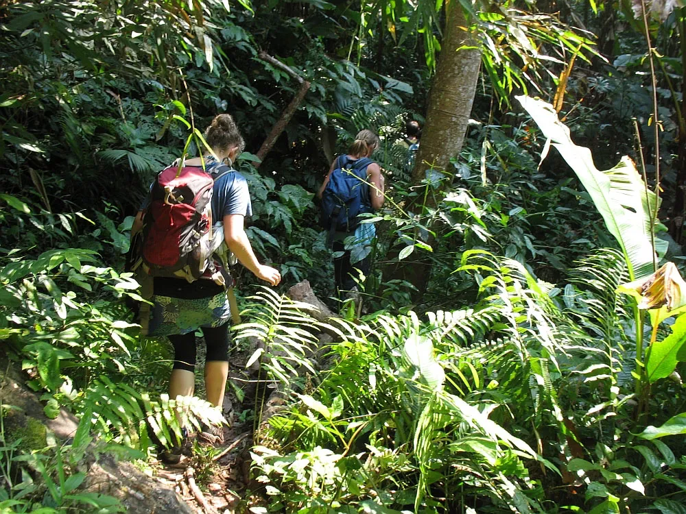 trek-in-nam-ha-national-protected-area-with-local-guides