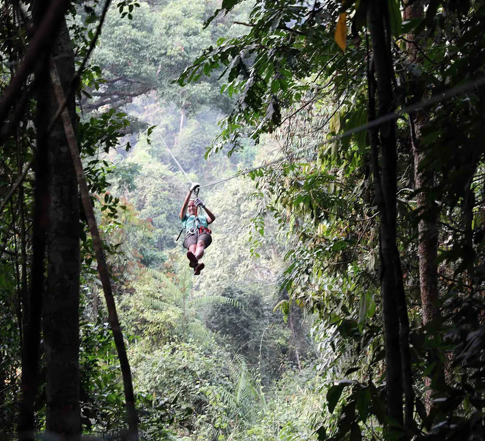 zipline-and-climb-in-nam-kan-national-park zipline-and-climb-in-nam-kan-national-park